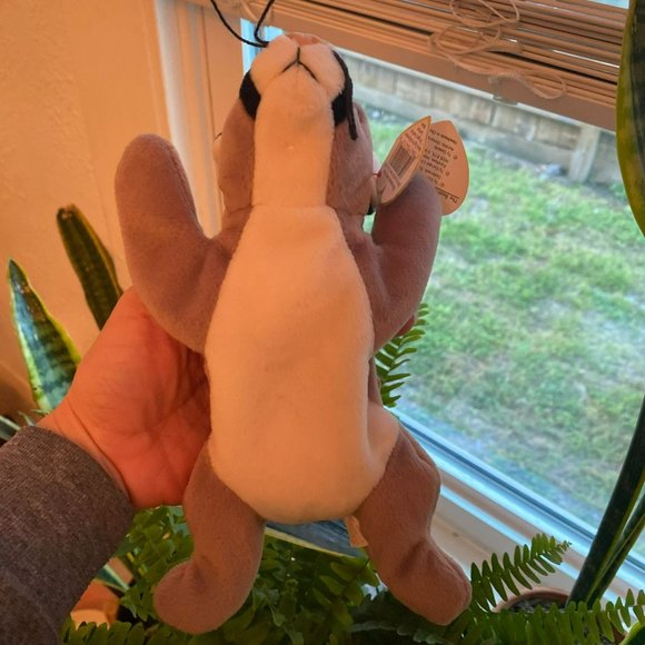 Ty Beanie Baby -  Canyon the Cougar - Style Number #04212 - Picture 8 of 8